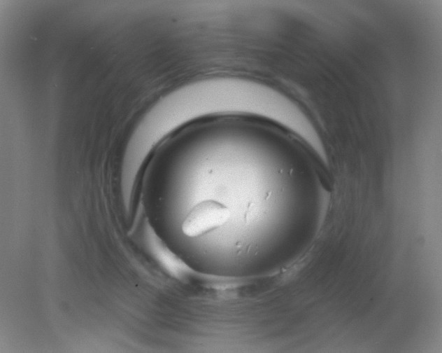 X0000082930162200702011249