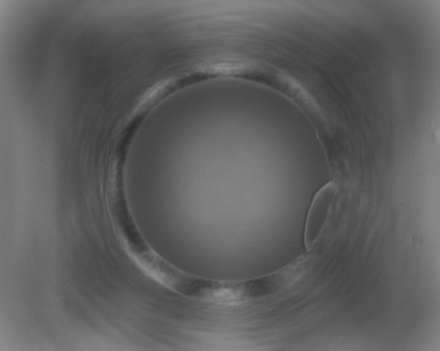 X0000082930163200702011249