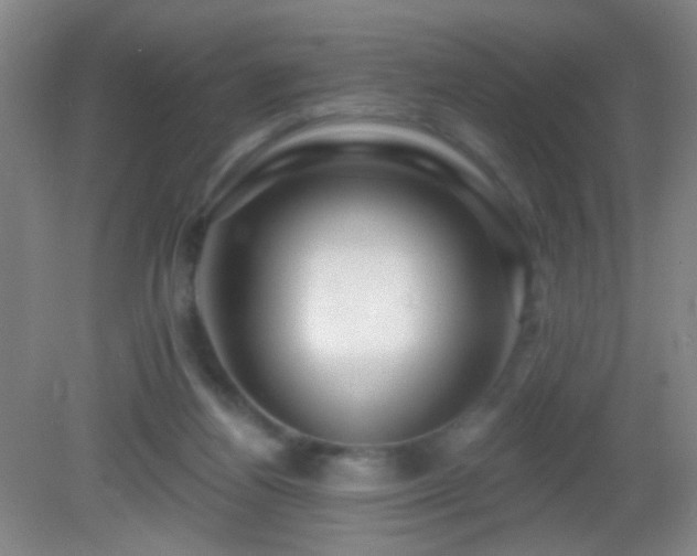 X0000082930164200702011249