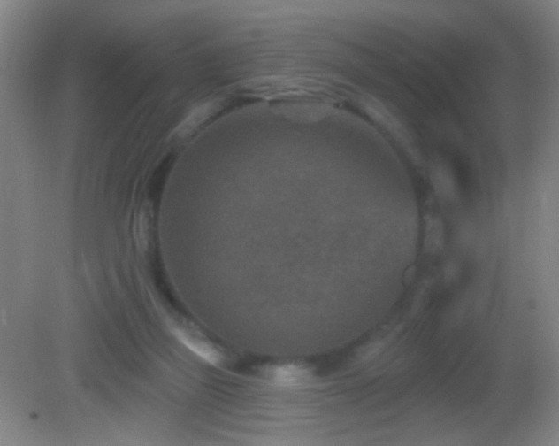 X0000082930165200702011249