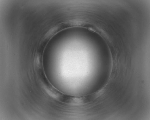 X0000082930166200702011249