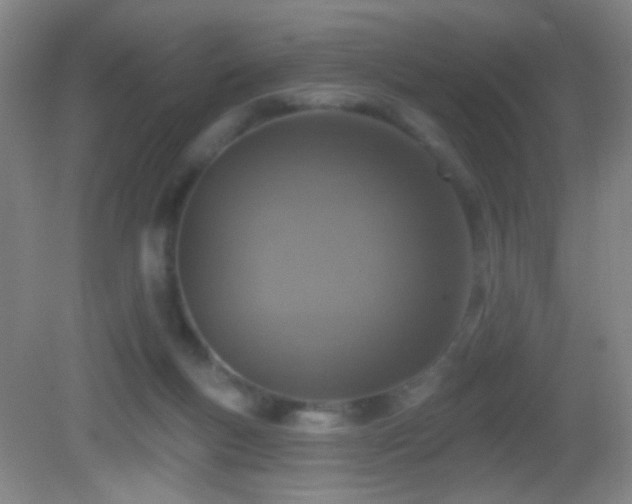 X0000082930167200702011249