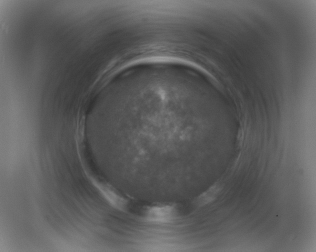 X0000082930168200702011249