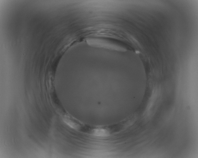 X0000082930169200702011249