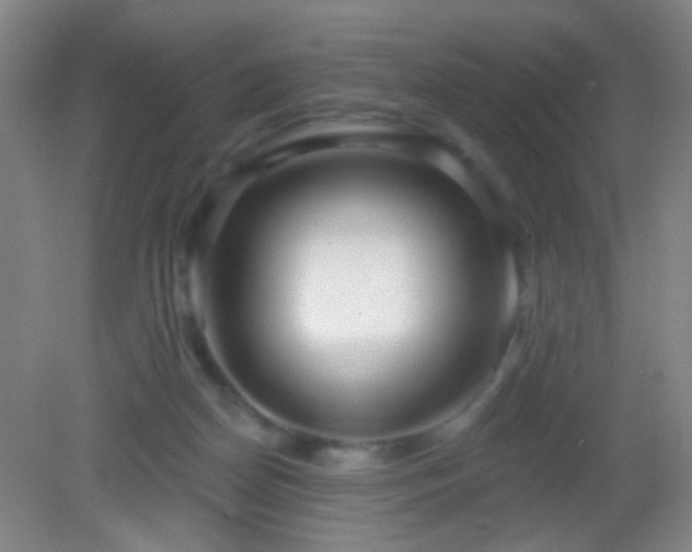 X0000082930170200702011249