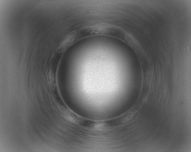 X0000082930173200702011249