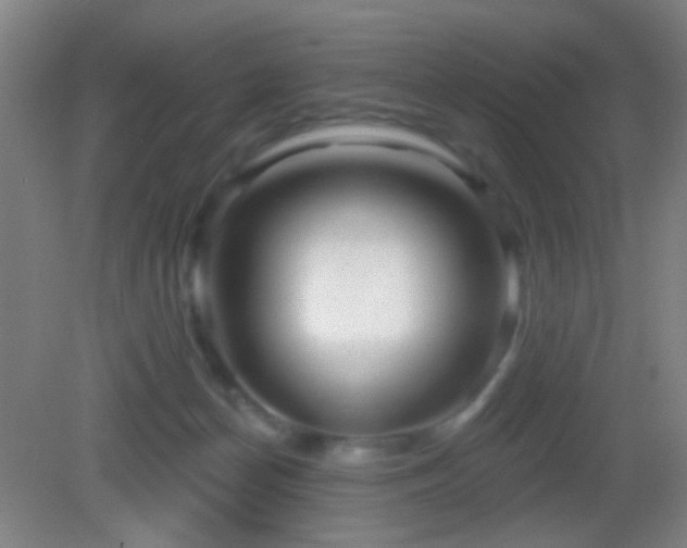 X0000082930174200702011249