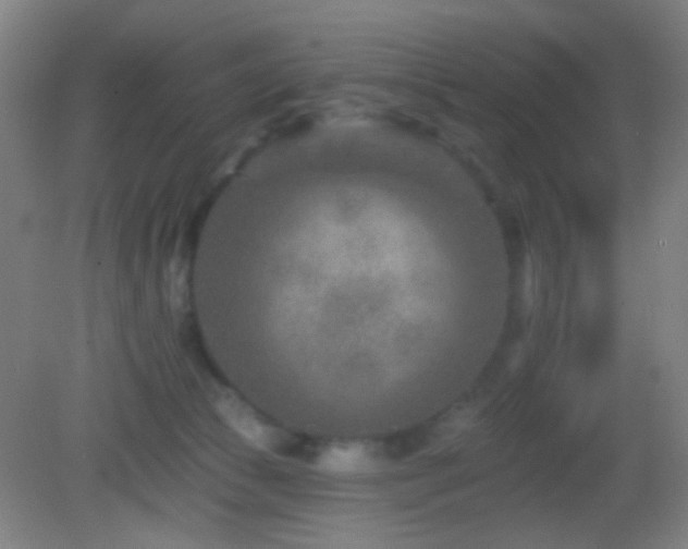 X0000082930177200702011249