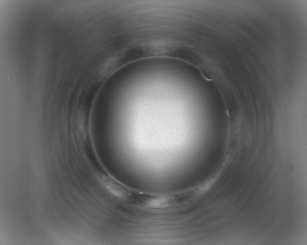 X0000082930178200702011249