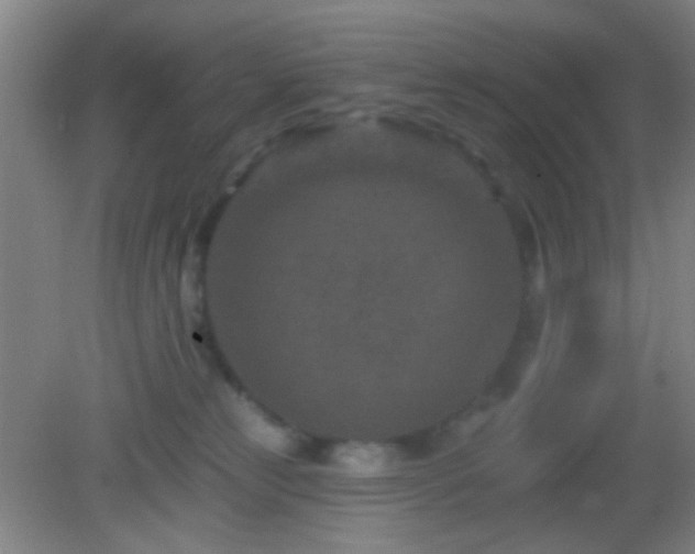 X0000082930181200702011249