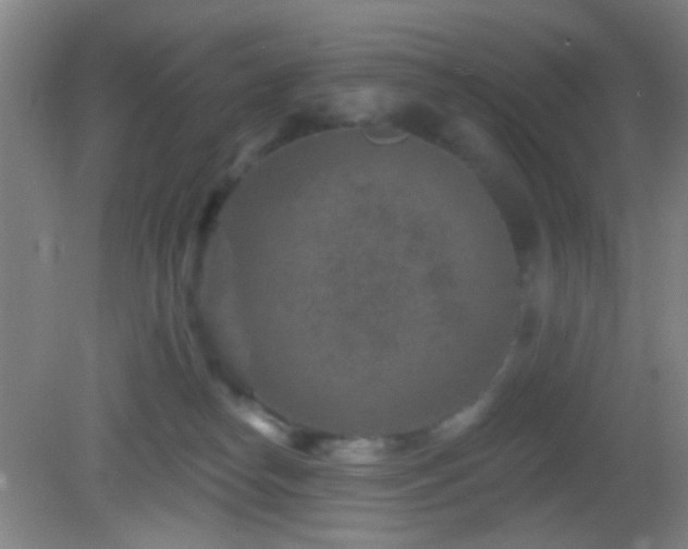 X0000082930182200702011249