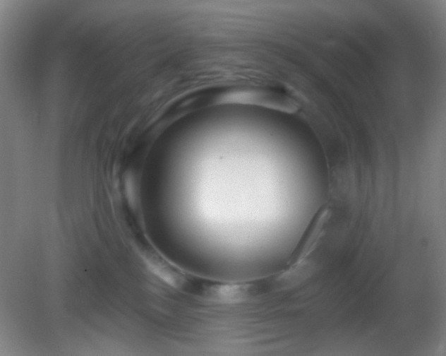 X0000082930184200702011249