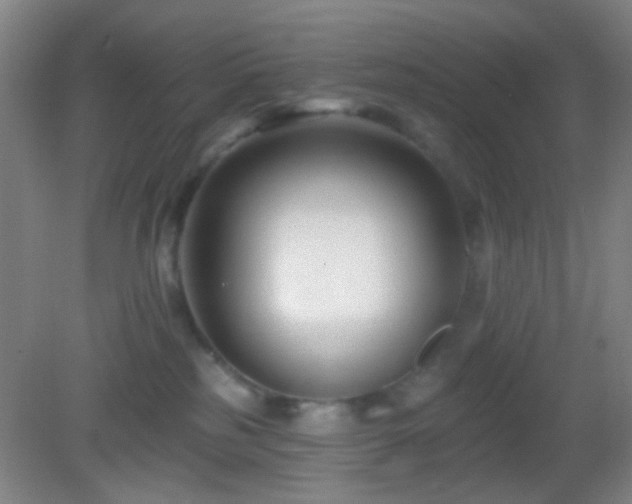 X0000082930185200702011249