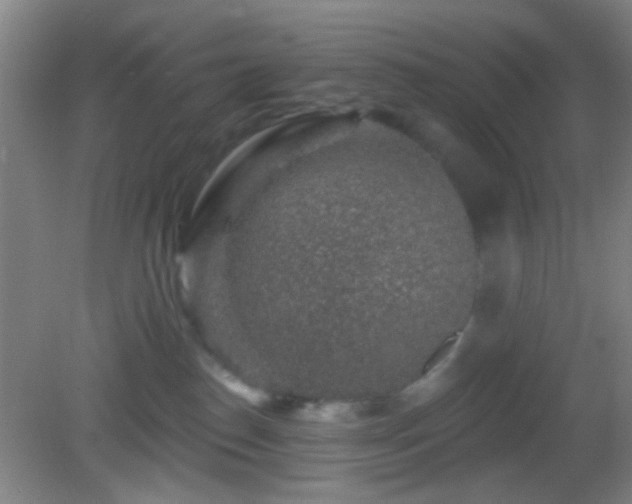 X0000082930186200702011249