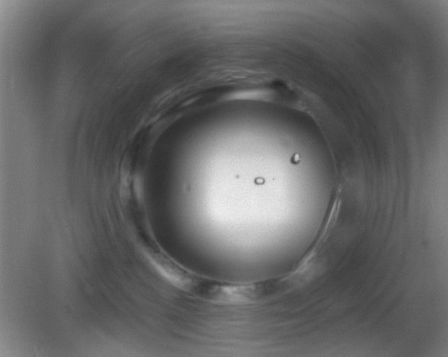 X0000082930188200702011249