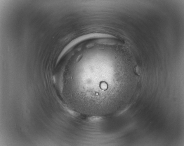 X0000082930189200702011249