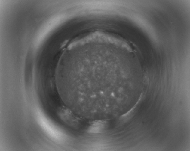 X0000082930191200702011249