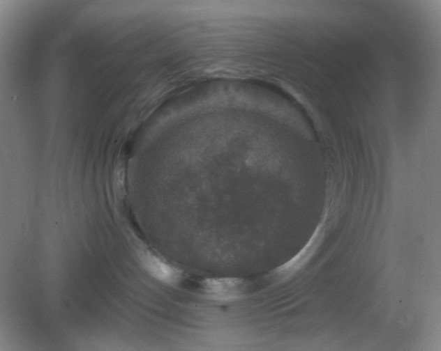 X0000082930192200702011249