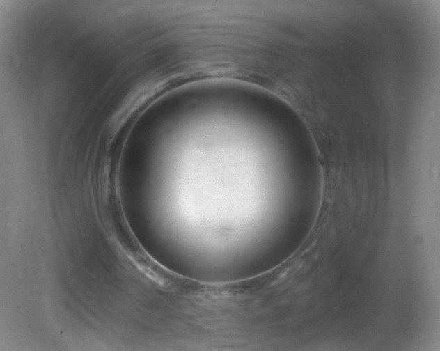 X0000082930194200702011248