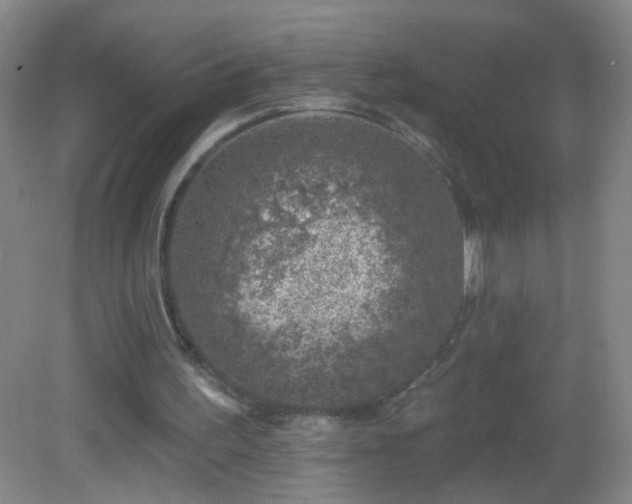 X0000082930195200702011248