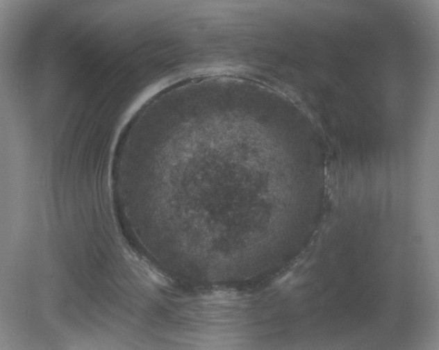 X0000082930196200702011248