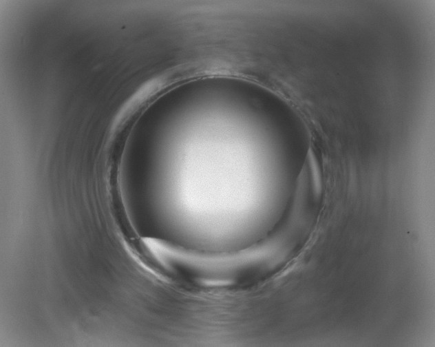 X0000082930197200702011248