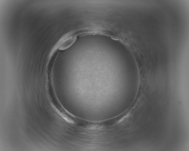 X0000082930198200702011248