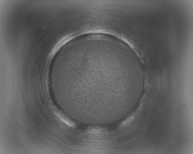 X0000082930199200702011248