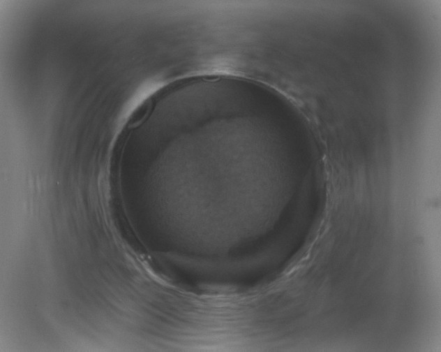 X0000082930200200702011248