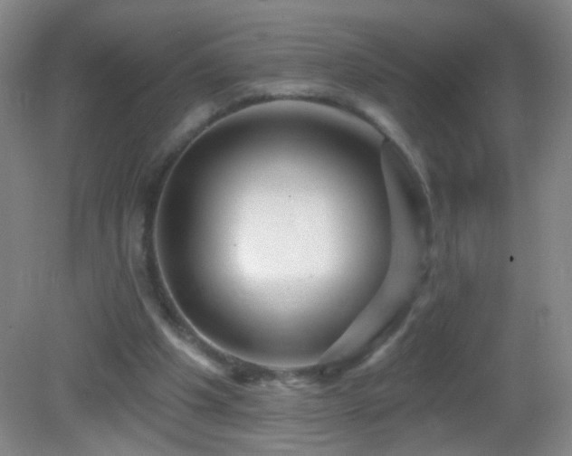 X0000082930201200702011248