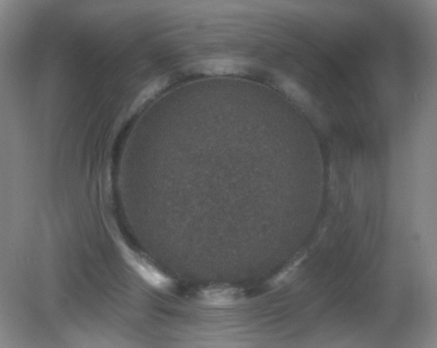 X0000082930202200702011248