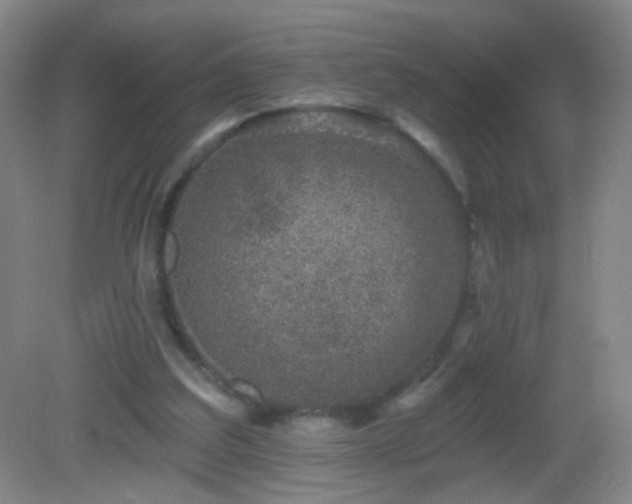 X0000082930203200702011248