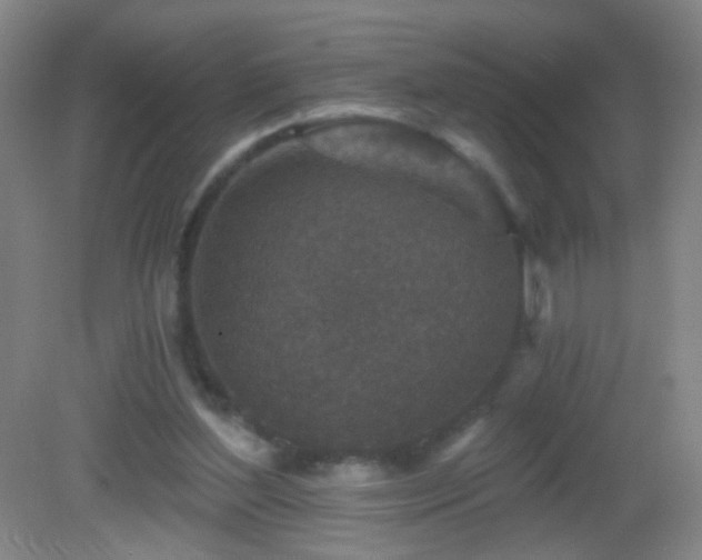 X0000082930204200702011248