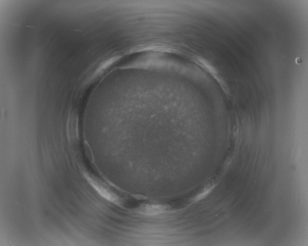 X0000082930205200702011248