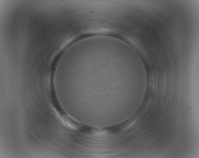 X0000082930206200702011248