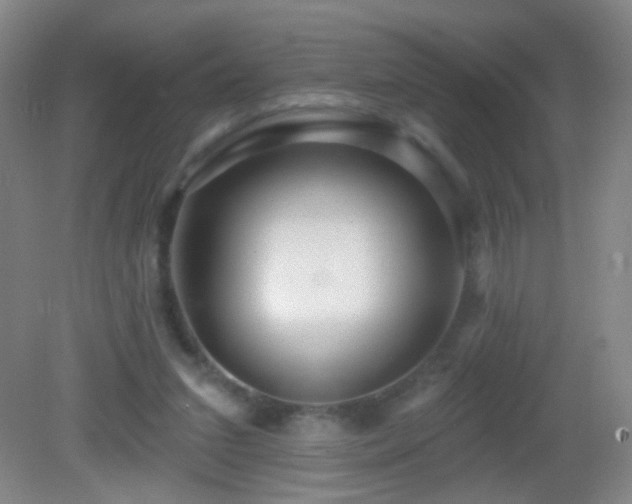 X0000082930207200702011248