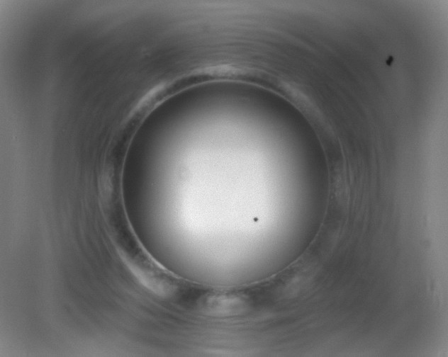 X0000082930208200702011248