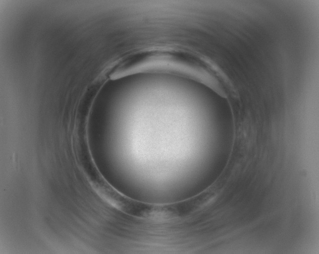 X0000082930209200702011248