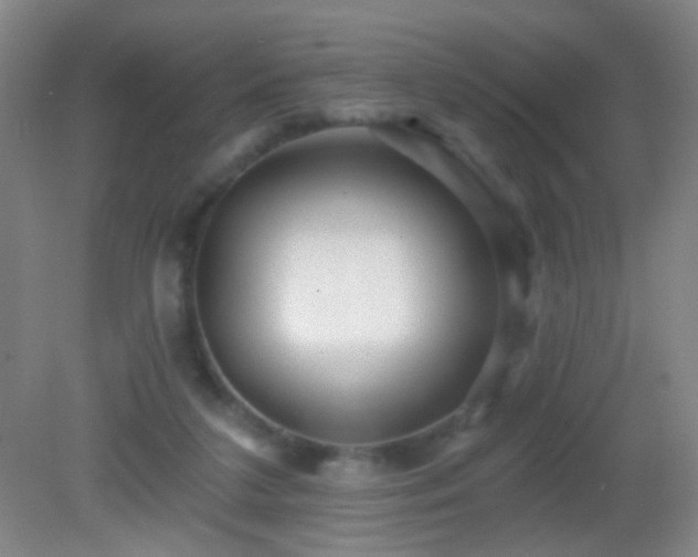 X0000082930211200702011248