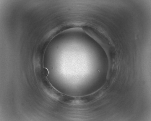 X0000082930212200702011248