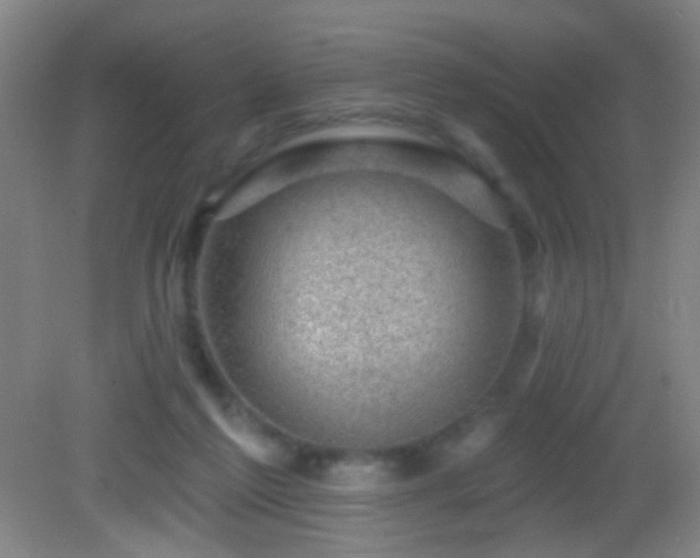 X0000082930213200702011248