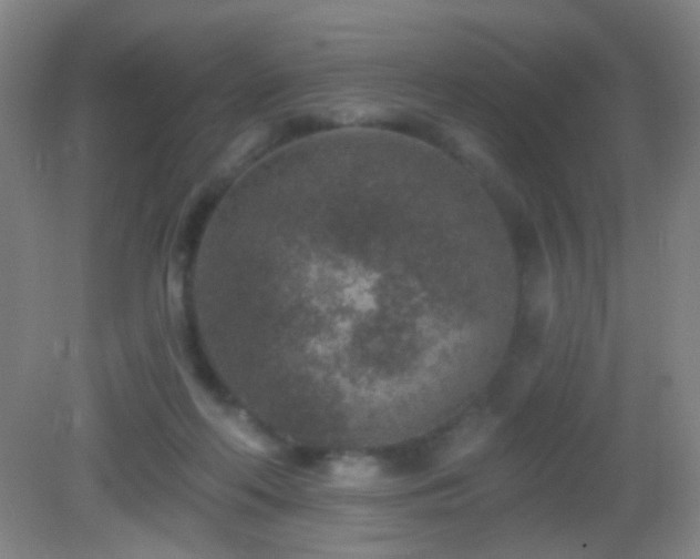 X0000082930214200702011248