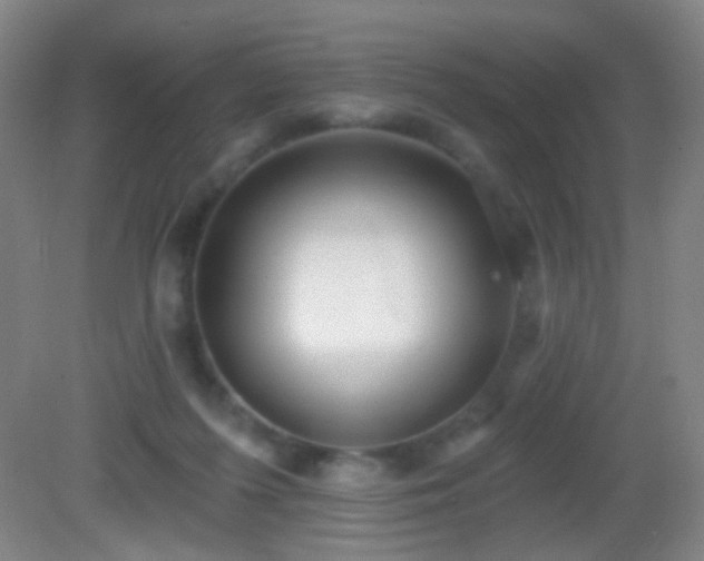 X0000082930215200702011248