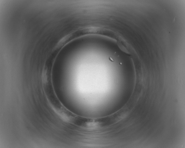 X0000082930216200702011248