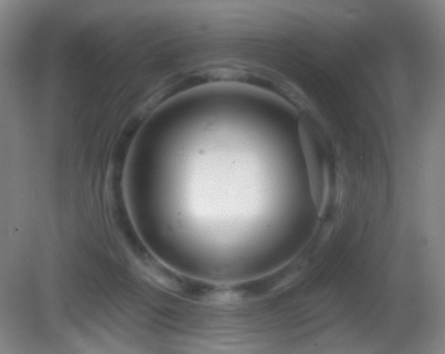 X0000082930217200702011248