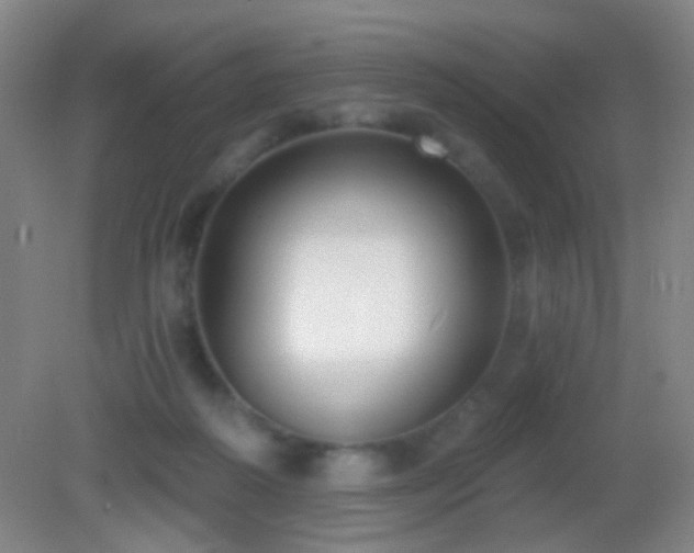 X0000082930218200702011248