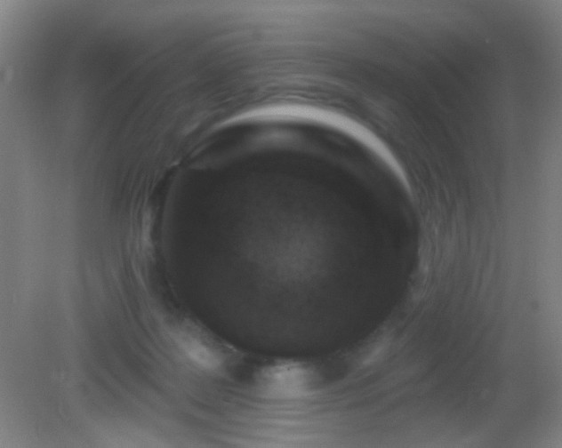 X0000082930219200702011248