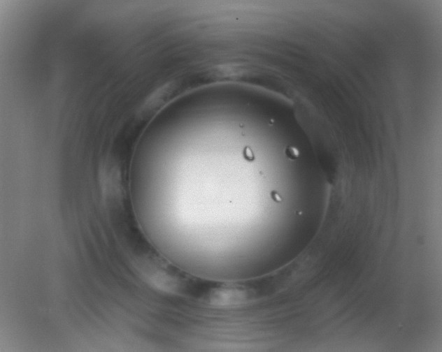 X0000082930220200702011248