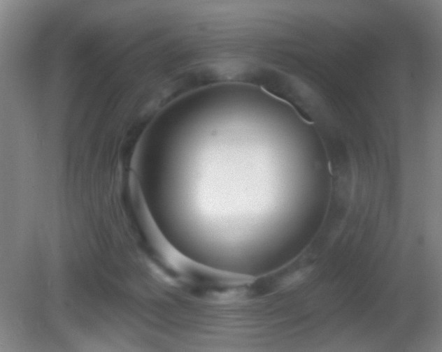 X0000082930221200702011248