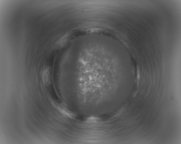 X0000082930222200702011248